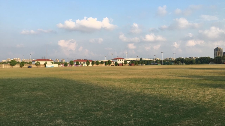 Shanghai matchmaking association