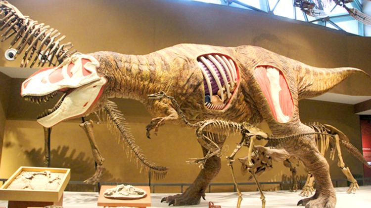 dino