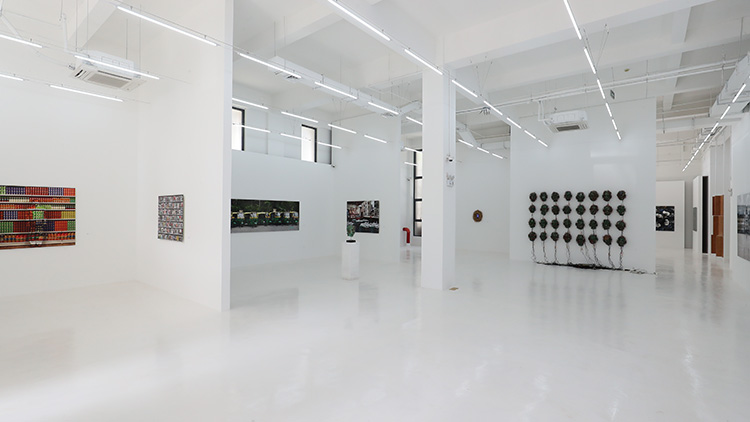 md gallery