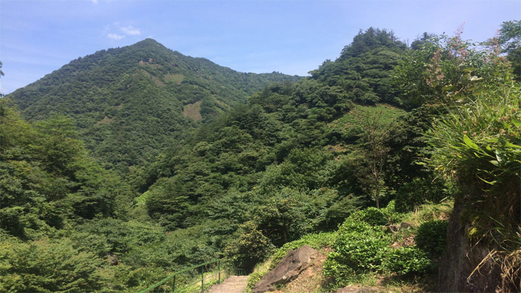 anj2