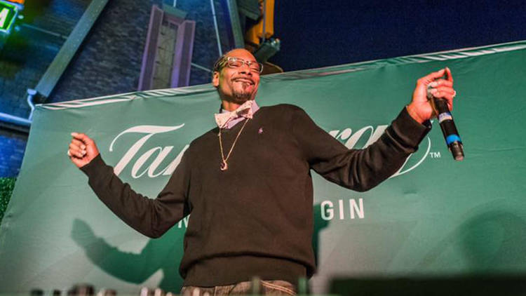 snoop