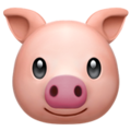 cumpig