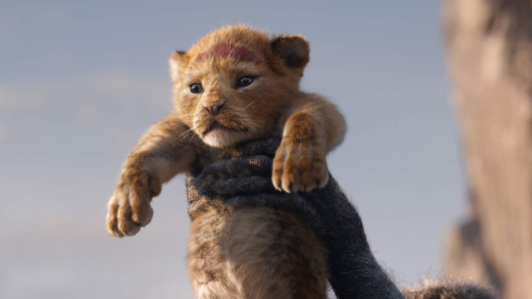 LIONKING