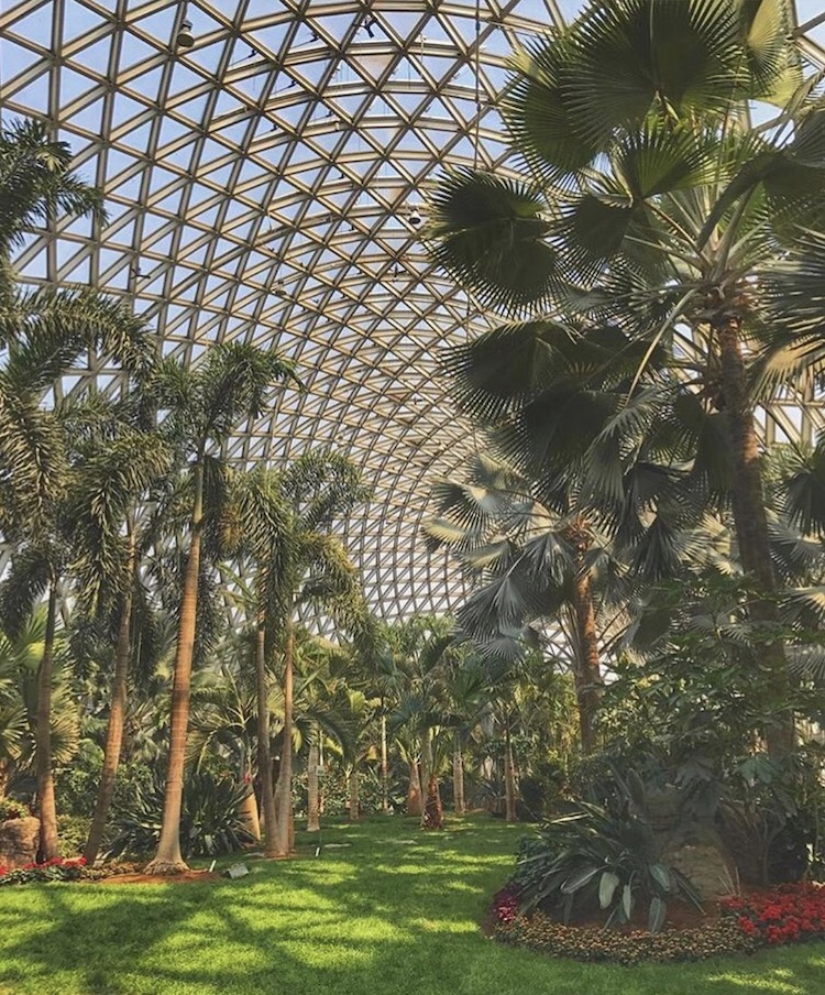 Chenshan Botanical Gardens - @jackvincent3
